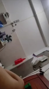 原创