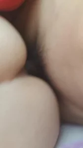 晨爱