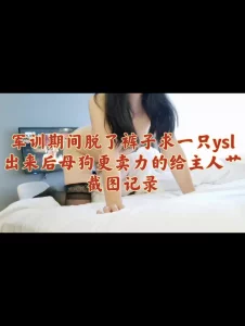 聊天截图