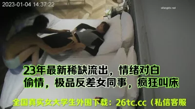 []23年稀缺流出，真实酒店偷情淫语对白